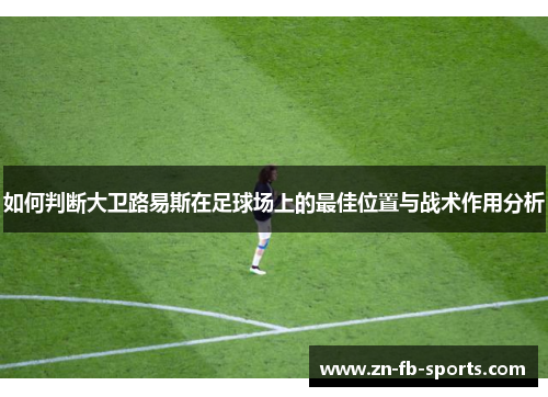 如何判断大卫路易斯在足球场上的最佳位置与战术作用分析