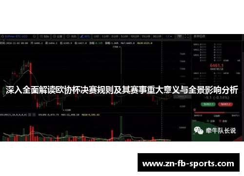 深入全面解读欧协杯决赛规则及其赛事重大意义与全景影响分析