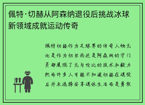 佩特·切赫从阿森纳退役后挑战冰球新领域成就运动传奇